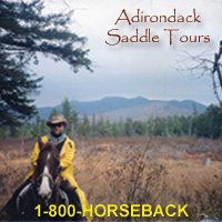 Adkhorse.com