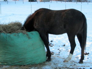 Big Bale Buddy